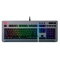 Level 20 RGB Titanium Gaming Keyboard Cherry MX Blue